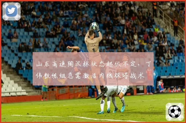 山东高速陶汉林状态起伏不定,丁伟教练组急需激活内线双塔战术