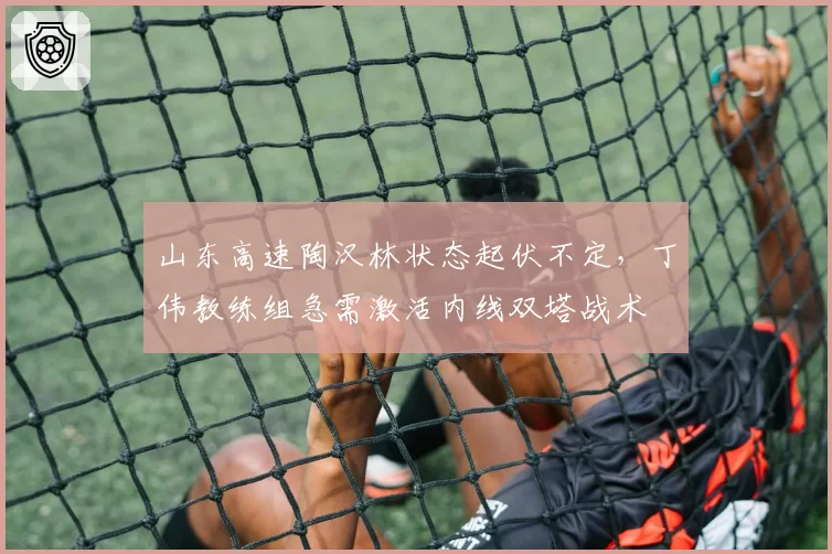 山东高速陶汉林状态起伏不定,丁伟教练组急需激活内线双塔战术