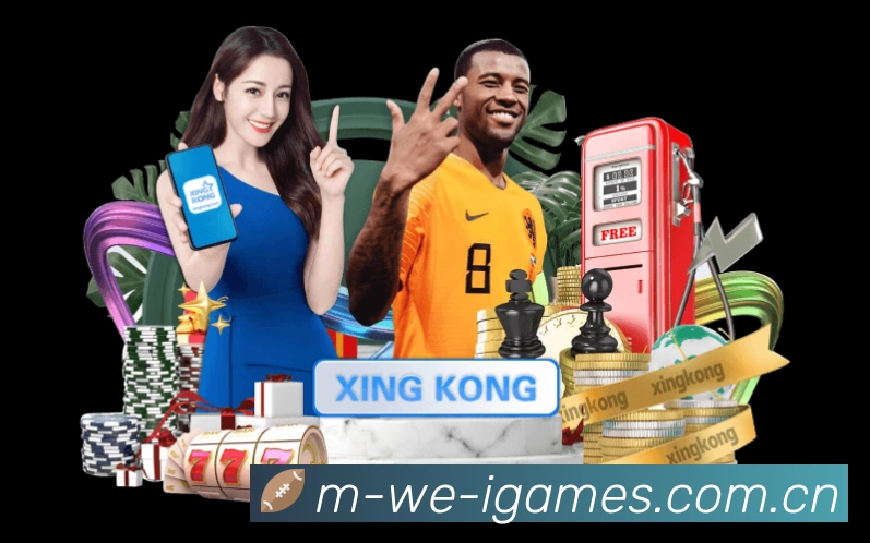 全球访问热力分布图